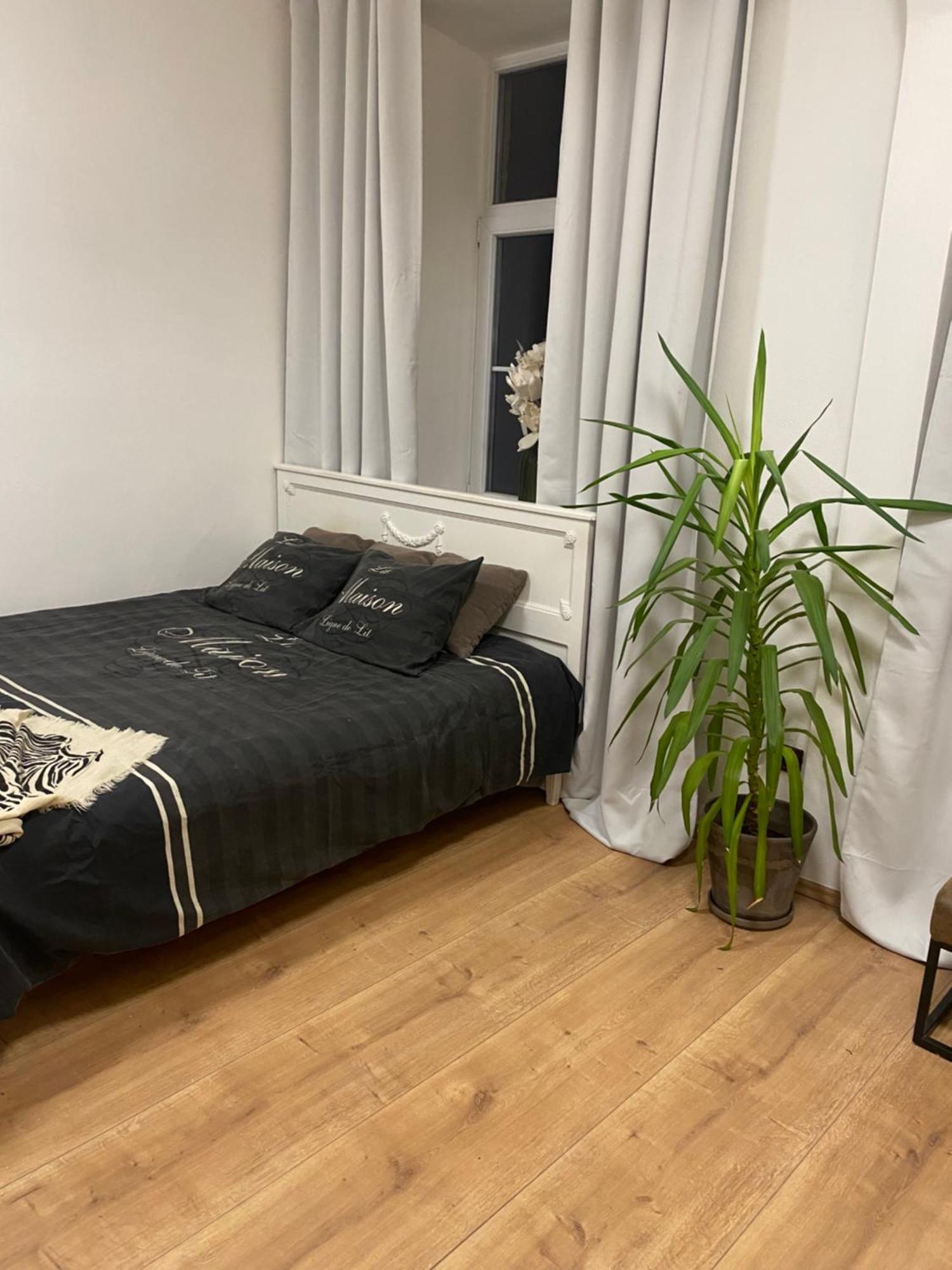 אולומוץ Apartman Trznice מראה חיצוני תמונה
