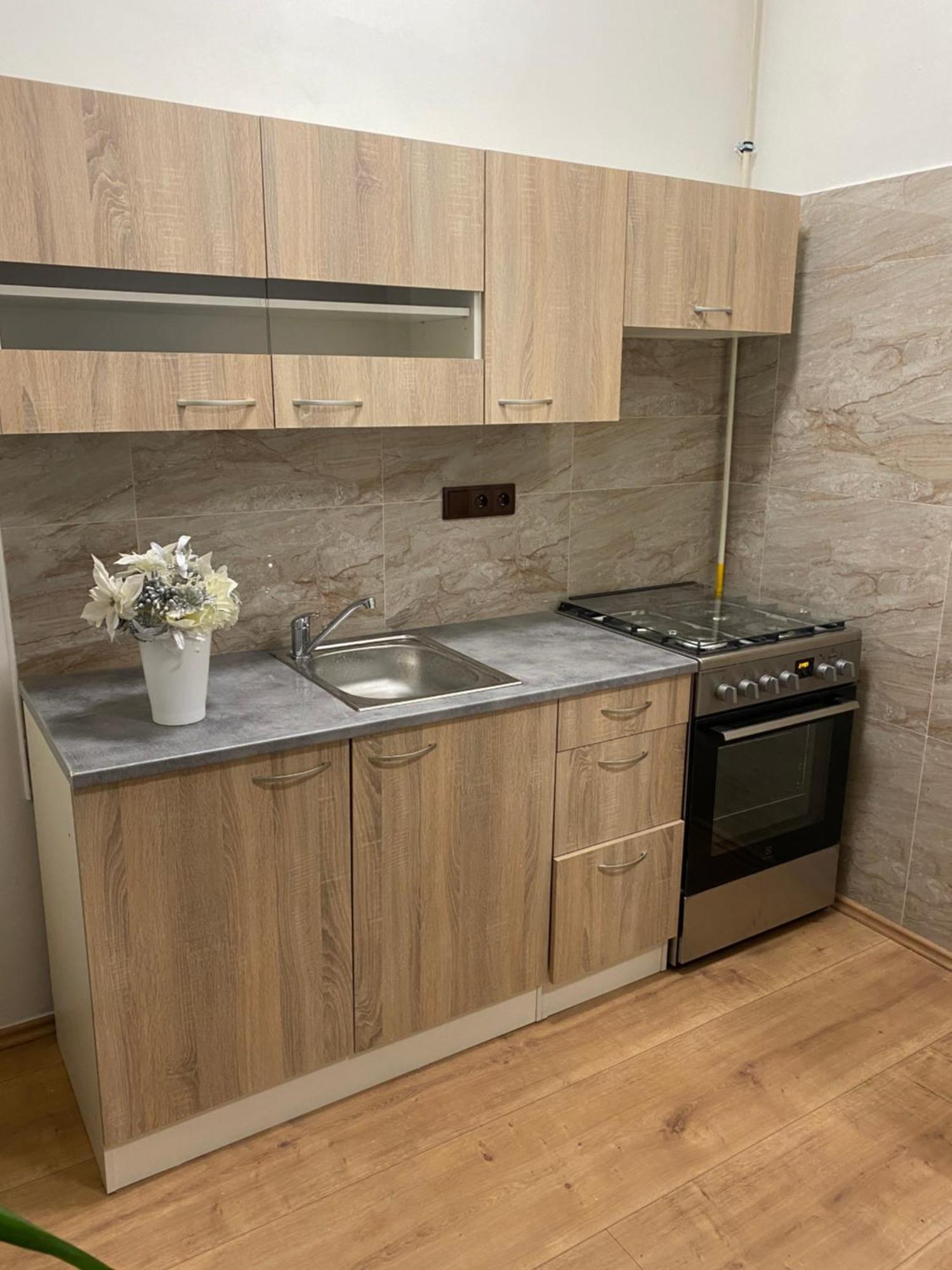אולומוץ Apartman Trznice מראה חיצוני תמונה